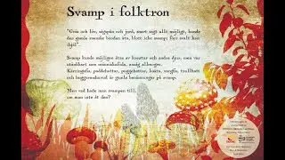 Svamp i folktron -vandringsutställning & föredrag