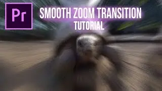 Adobe premiere smooth zoom blur transition effect Tutorial