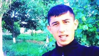 Эй ПАДАР...