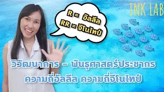 🧬วิวัฒนาการ 3 : ความถี่อัลลีล ความถี่จีโนไทป์ | พันธุศาสตร์ประชากร [Biology#12]