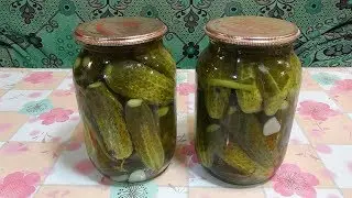 Pickles. (For the winter).
