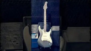 Tagima 530 Electric Guitar S Type TW Series