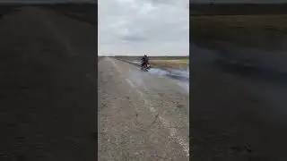 ИЖ РВЁТ ТРУСЫ