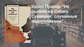 Стрим 208. Карен  Прайор. Суеверия: случайное подкрепление