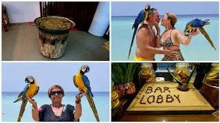 ВЛОГ/ПОКАЗЫВАЮ НОМЕР МАМЫ/ОБЕД В ОТЕЛЕ Viva Wyndham Dominicus Palace/ФОТОСЕССИЯ НА ПЛЯЖЕ