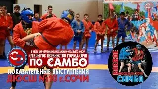 Показательные выступления по боевому самбо в Сочи