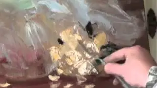 Масляная живопись  Балеринка