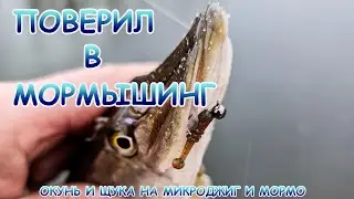 Окунь на микроджиг, щука на мормышинг!
