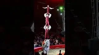 Magyar Nemzeti Cirkusz - Világszenzáció - Lovon, hárman egymás vállán - Ifj. Richter József
