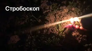 Что такое стробоскоп пиротехнический
