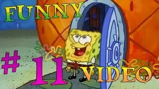 FUNNY VIDEO # 11