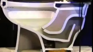 Как крысы пробираются в туалеты