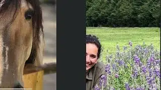 El caballo de Raquel” EL BRUJO”￼  el caballo te da tranquilidad y lo más importante paz,RAQUEL VRL