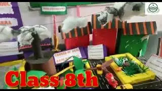 Award winning ACID Rain and Model Park STEM competition GGMHS jhambra