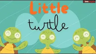 Câu hỏi tương tác bài Little turtle U14 G.S