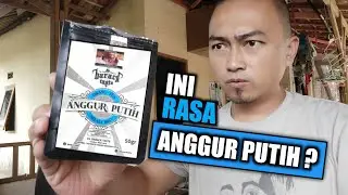 REVIEW TEMBAKAU ANGGUR PUTIH. Barack Taste, Cianjur, West Java.
