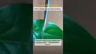 записаться на сессию https://mnr24.ru/