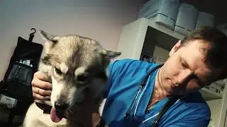 Клиника 
