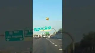 #phoenix #surprised #funny
