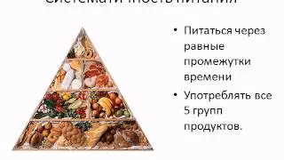 Плоский живот  Недели 7 8
