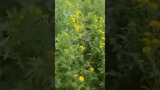 часть три запасли у нас