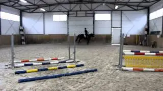 Eliot - trening skokowy, 17.01.2015