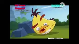 Angry Birds Toons Egg Hautions