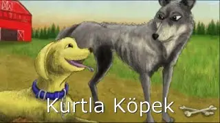8.Sınıf Türkçe Dersi, 