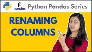 Renaming Columns : Pandas in Python Tutorial