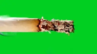 Macro view of burning cigarette with smoke on black. Burning cigarette - 4k HD video