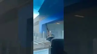 Oh no not at Walmart again
