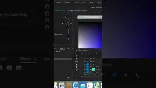 Dance Party Lights Effect   Strobe Light Effect   Adobe Premiere Pro Tutorial   Youtube Shorts1080P