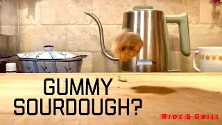 Gummy Sourdough Bread Cause and Fix