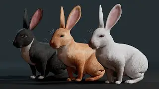 Realistic Rabbit URP 3d model