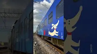 Иволга & РЭКС ЭП2Д & ЭГ2Тв #trainspotting #spotting #railway