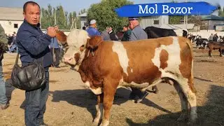 Ashaddiy Obunachilar Uchun Yangiqo'rg'on Mol Bozori Narxlar Albatta Koring 😍