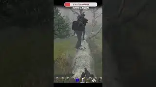 #dayz