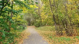 Sweden, Sollentuna - Edsviken 🍂 