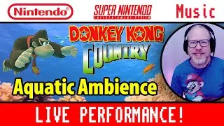 Relaxing Game Music: Aquatic Ambience, DKC Played Live!