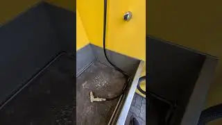 Мойка для собак в аэропорту