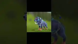 #wildcraft