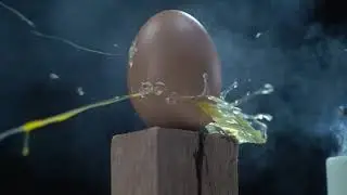 Eggs Vs Pen Experiment