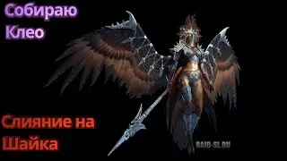 Слияние На Шайка