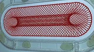 Spirograph | by ShR
