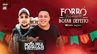 Bota Pra Lenhar - Forro Pra Ninguem Botar Defeito