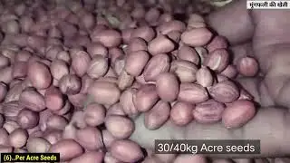 મગફળી ની ખેતી કરવાની આધૂનિક રીત//digging peanuts how to farming of peanuts//#magfali #farming #tech