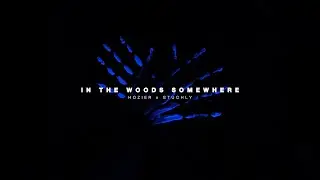 Hozier - In The Woods Somewhere (STUCHLY Remix)