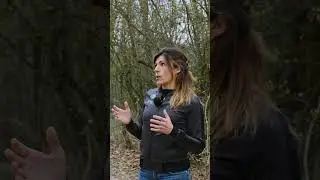 LA BORRACCIA ARTIGIANALE PERFETTA! 