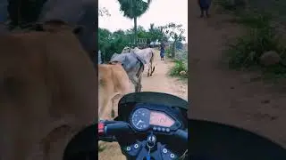 Super ride on village river road.