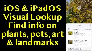 Use your iPhone to lookup plants, landmarks, art and pets